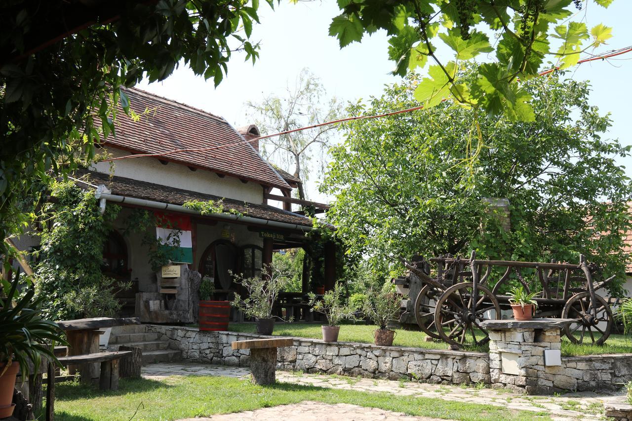 Bed and Breakfast Pataky Borporta à Tarcal Extérieur photo