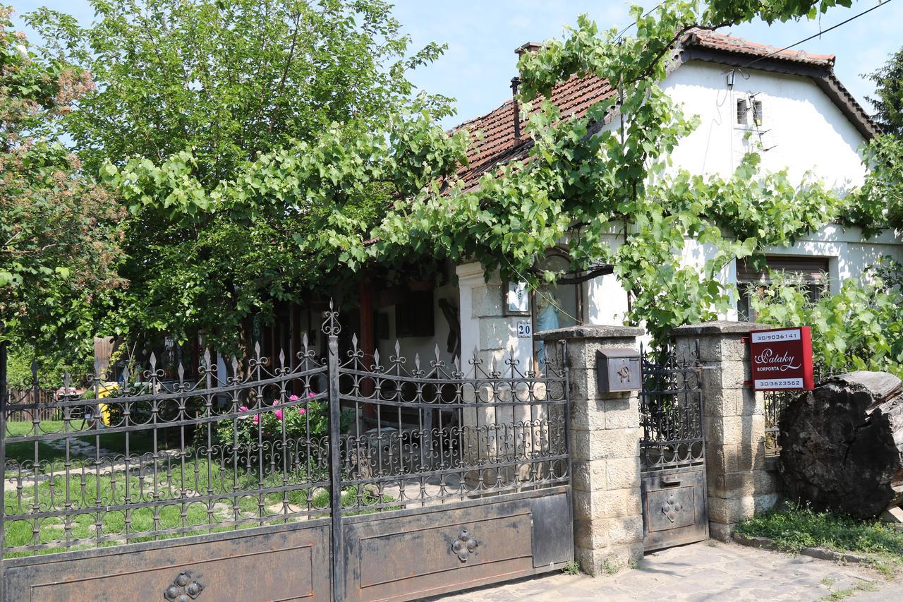 Bed and Breakfast Pataky Borporta à Tarcal Extérieur photo